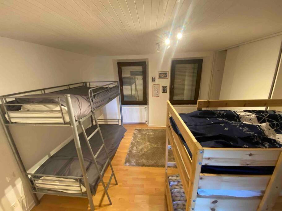 Appartement Émile Gallé. Goetzenbruck Esterno foto